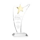 Atkinson Gold Star Peaks Crystal Award
