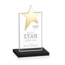 Bryanston Gold Star Black Towers Crystal Award