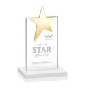 Bryanston Gold Star White Towers Crystal Award