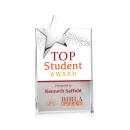 Denham Star Full Color Silver Rectangle Crystal Award