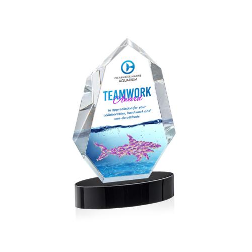 Awards and Trophies - Crystal Awards - Norwood Full Color Black on Alberton Base Polygon Crystal Award