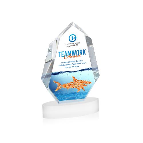 Awards and Trophies - Crystal Awards - Norwood Full Color White on Alberton Base Crystal Award