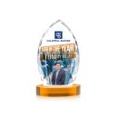 Wilton Full Color Amber on Alberton Base Peaks Crystal Award