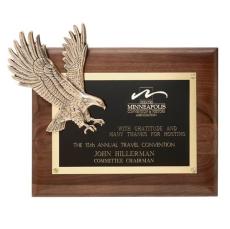 Soaring Eagle  - Plaque Awards