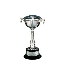 Silver-Plated Pedestal Bowl Cup - Unique Awards