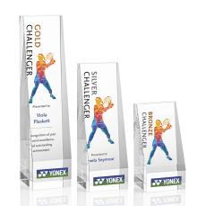 Belleville Full Color Towers Crystal Award - Awards and Trophies