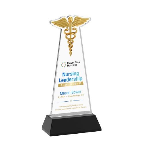 Awards and Trophies - Crystal Awards - Caduceus Full Color Black on Hartford Base Unique Crystal Award