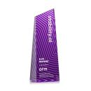 Hallandale Full Color Purple Towers Crystal Award