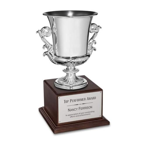 Awards and Trophies - Unique Awards - Award Cup - Silver