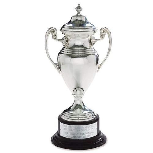 Awards and Trophies - Unique Awards - Silver Cup Metal Award
