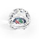 Driscoll Full Color Paperweight - Clear