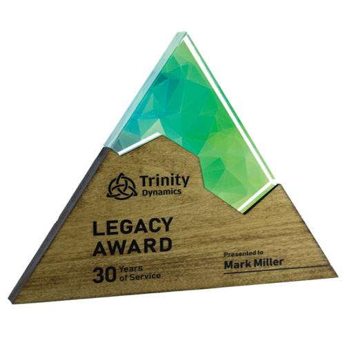Awards and Trophies - Triangle Edge Puzzle